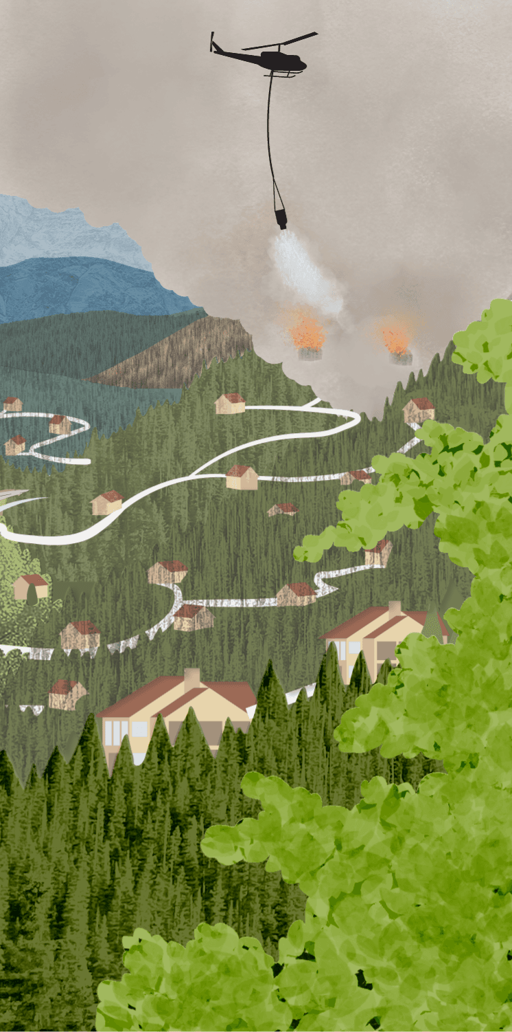 Wildfire Emergency Illustration